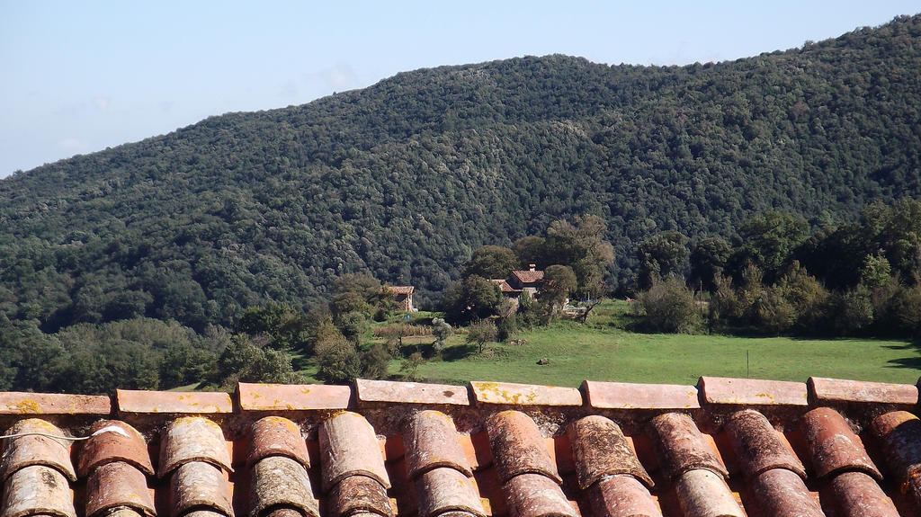 Can Salgueda Santa Pau Rum bild