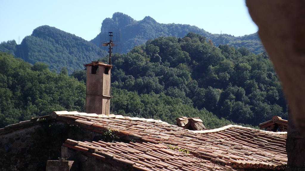 Can Salgueda Santa Pau Rum bild