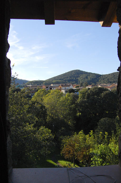 Can Salgueda Santa Pau Rum bild