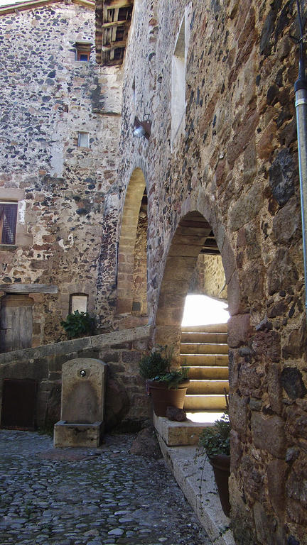 Can Salgueda Santa Pau Rum bild