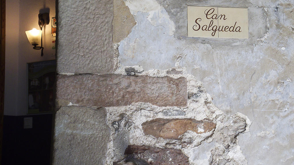 Can Salgueda Santa Pau Rum bild